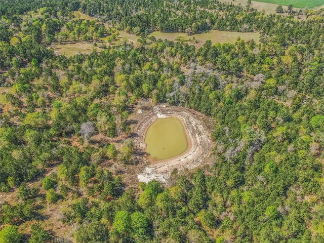 3656 Luthe Road, Bedias, TX 77831