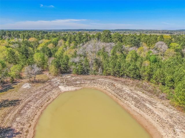 3656 Luthe Road, Bedias, TX 77831