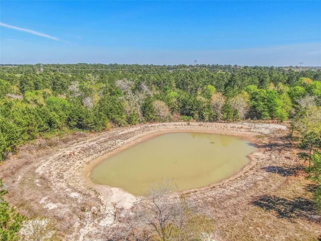 3656 Luthe Road, Bedias, TX 77831