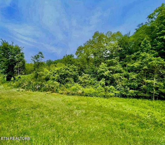 Lamplighter Way, Newport, TN 37821