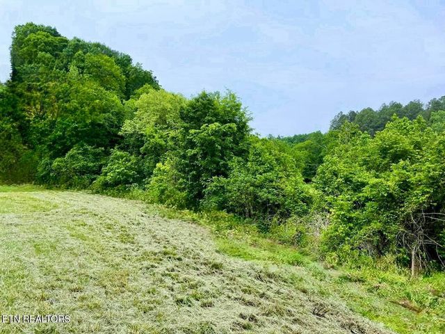 Lamplighter Way, Newport, TN 37821