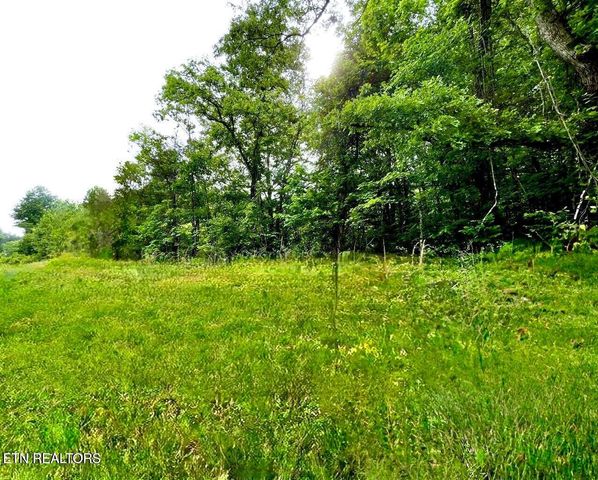 Lamplighter Way, Newport, TN 37821