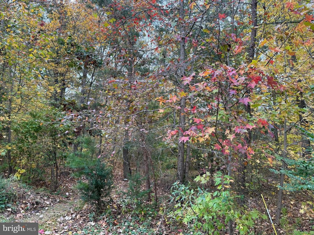 5162 CEDARLEA DR, West River, MD 20778