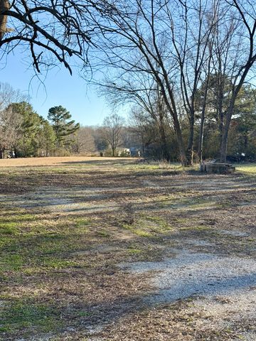 8605 Old State Route 1, New Johnsonville, TN 37134