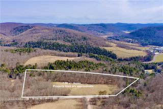 Hamden Hill Road, Delhi, NY 13753