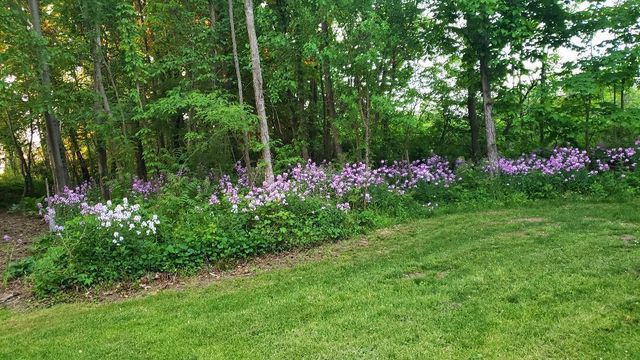 63062 Lakeshore Drive, Dowagiac, MI 49047