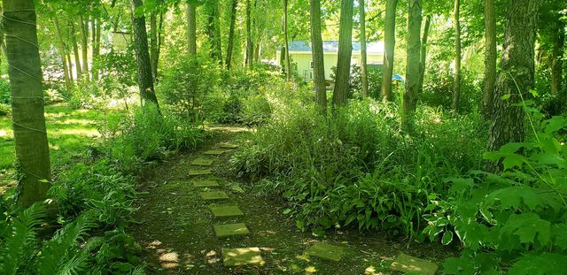 63062 Lakeshore Drive, Dowagiac, MI 49047