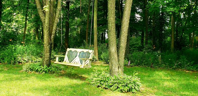 63062 Lakeshore Drive, Dowagiac, MI 49047