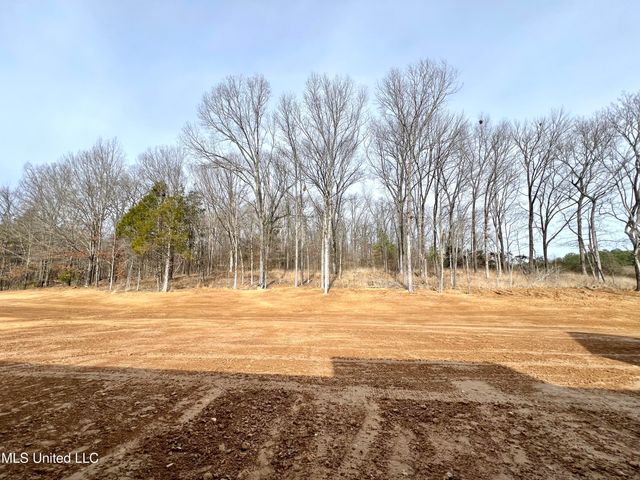 2142 Lauren Way, Hernando, MS 38632