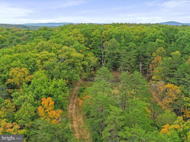 ANDREWS, Strasburg, VA 22657