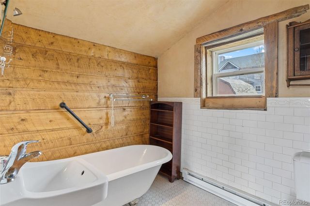 447 N Main Street, Alma, CO 80420