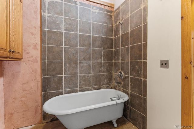 447 N Main Street, Alma, CO 80420