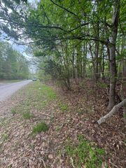 Lot 3 New Chestnut Drive Drive, Rougemont, NC 27572