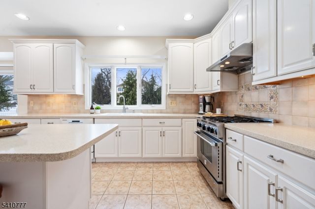 36 Matrick Ct, Hillsborough Twp., NJ 08844