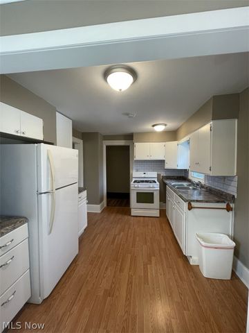 175 Wood Street, Painesville, OH 44077