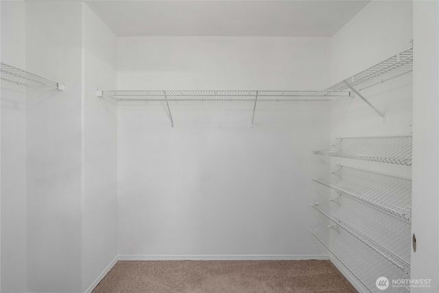 19514 104th Avenue E, Graham, WA 98338