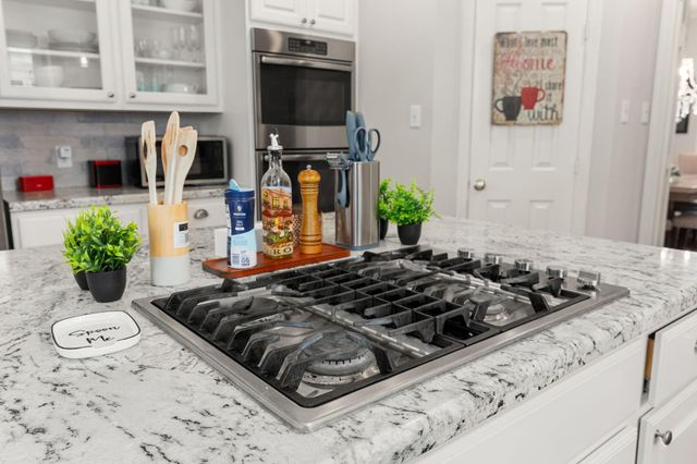 25814 Spring Hill Place, Spring, TX 77373