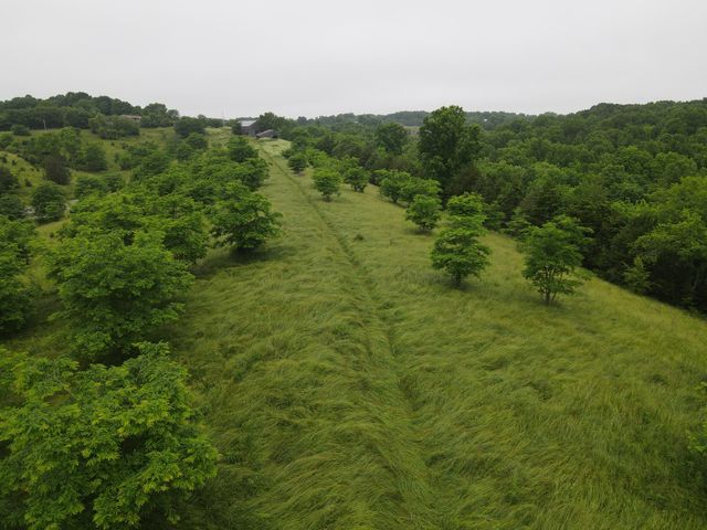 36 Ac Long Road, Lawrenceburg, KY 40342