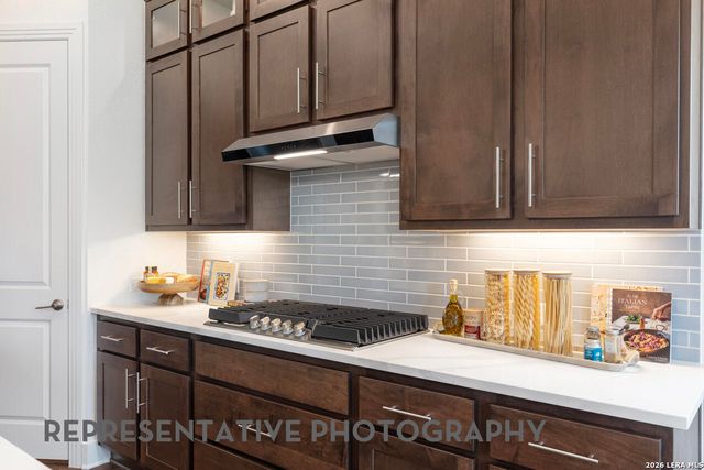 221 Gazelle Point, Cibolo, TX 78108