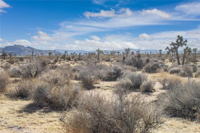 59525 La Crescenta, Yucca Valley, CA 92284
