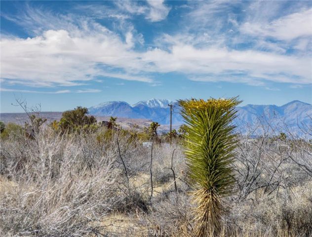59525 La Crescenta, Yucca Valley, CA 92284