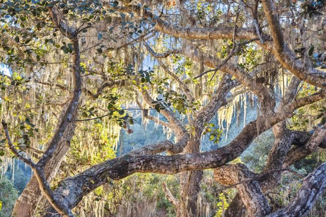 1100 Castro Road, Monterey, CA 93940