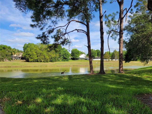 432 BAYTREE BLVD, Tavares, FL 32778