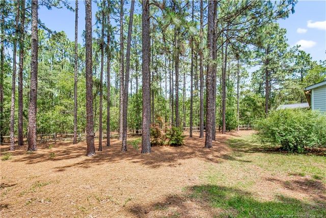 387 Forest Drive, Cameron, NC 28326