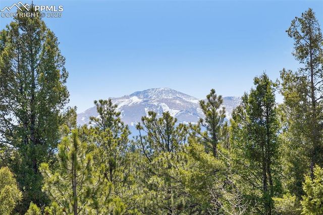 738 Rangeview Road, Divide, CO 80814