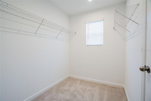 1174 SEASIDE MIST TRAIL, Kissimmee, FL 34747