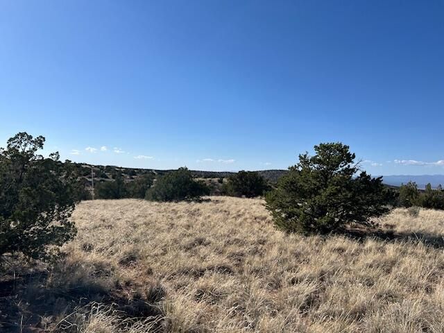 237 Meadows Road, Placitas, NM 87043