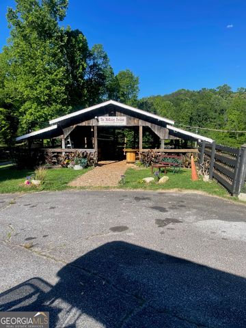 32 Yogi Bear Boulevard, Cleveland, GA 30528