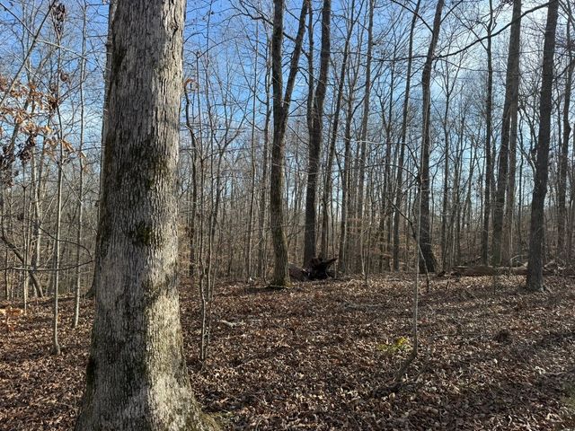 0 Riverwatch Trace, Sparta, TN 38583