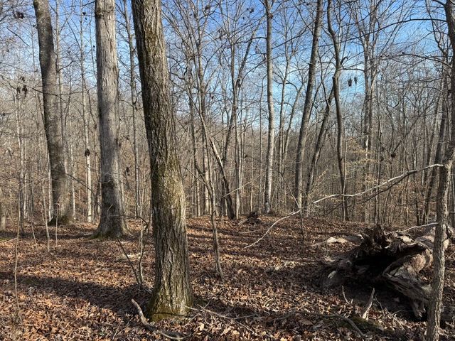 0 Riverwatch Trace, Sparta, TN 38583