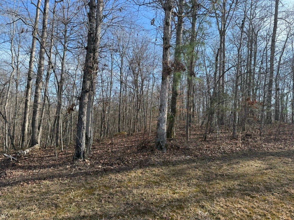 0 Riverwatch Trace, Sparta, TN 38583