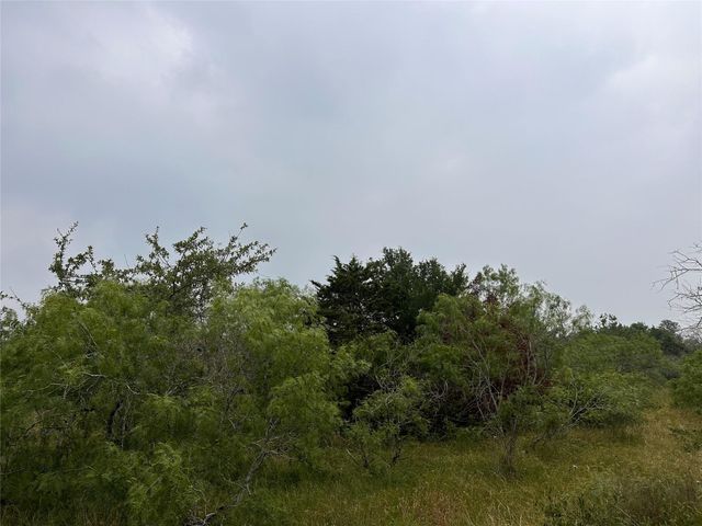 LOT 3 Private Road 4601, Waelder, TX 78959