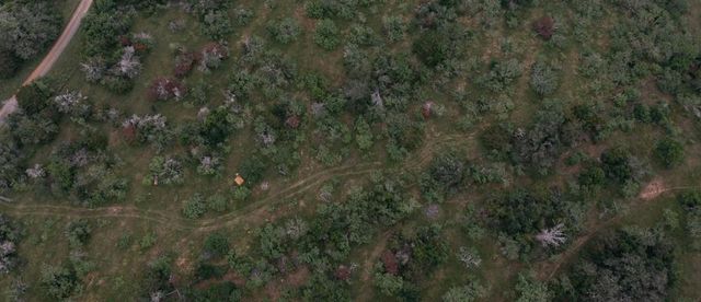 LOT 3 Private Road 4601, Waelder, TX 78959