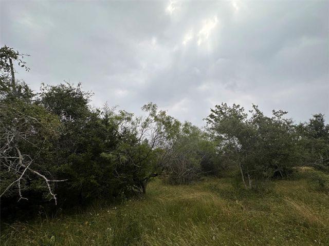 LOT 3 Private Road 4601, Waelder, TX 78959