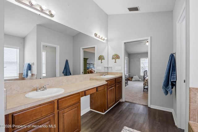 13428 Mandalay Place, Spring Hill, FL 34609