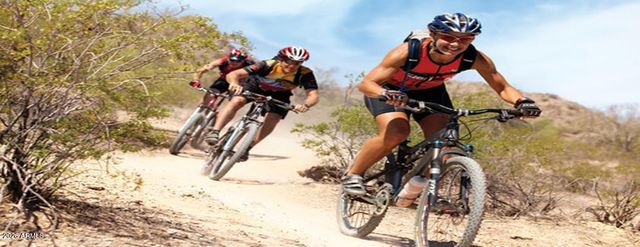 17528 W POLARIS Drive, Goodyear, AZ 85338