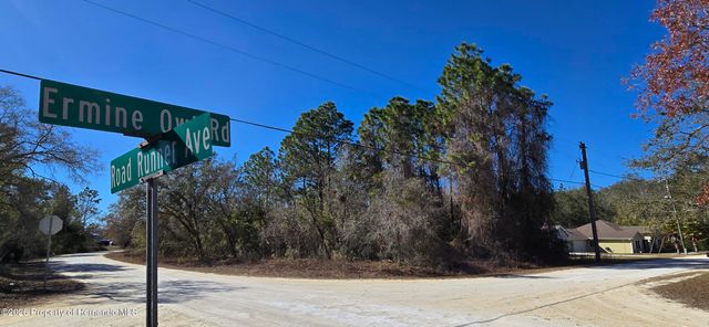 13231 Road Runner Avenue, Brooksville, FL 34614