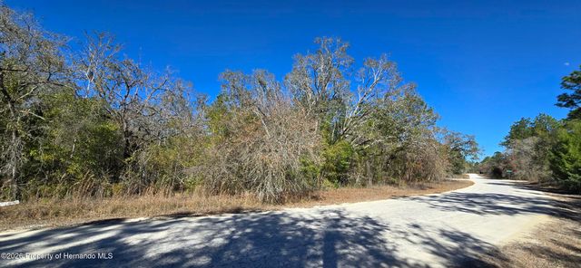 13231 Road Runner Avenue, Brooksville, FL 34614