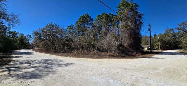 13231 Road Runner Avenue, Brooksville, FL 34614