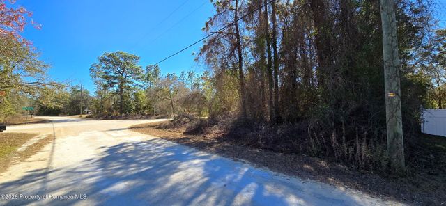 13231 Road Runner Avenue, Brooksville, FL 34614