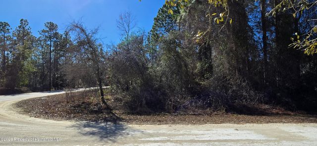 13231 Road Runner Avenue, Brooksville, FL 34614