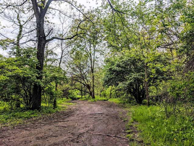 12858 W Regan Road, Mokena, IL 60448