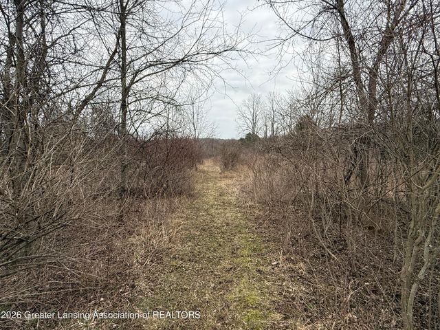 4416 N Smith Road, Dimondale, MI 48821