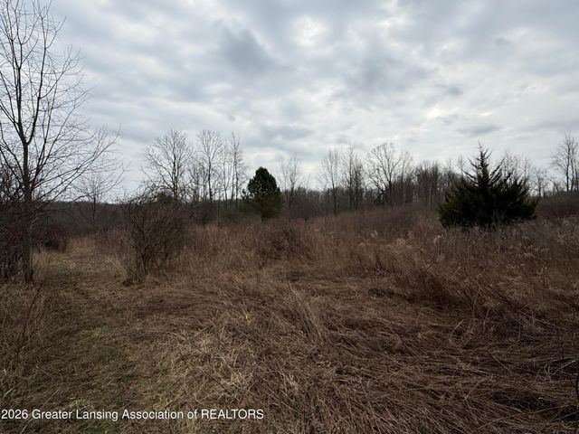 4416 N Smith Road, Dimondale, MI 48821