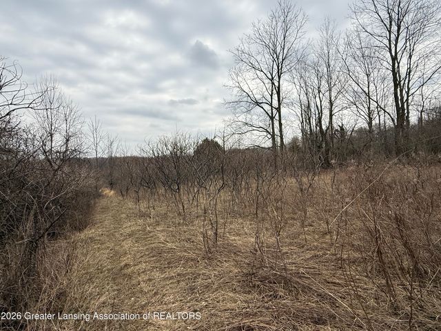 4416 N Smith Road, Dimondale, MI 48821