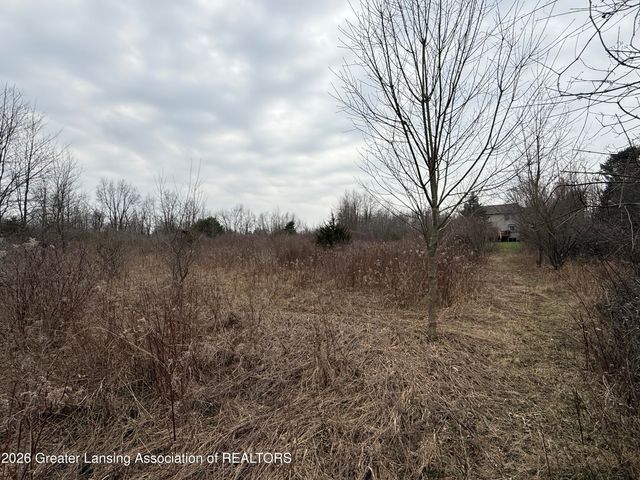 4416 N Smith Road, Dimondale, MI 48821